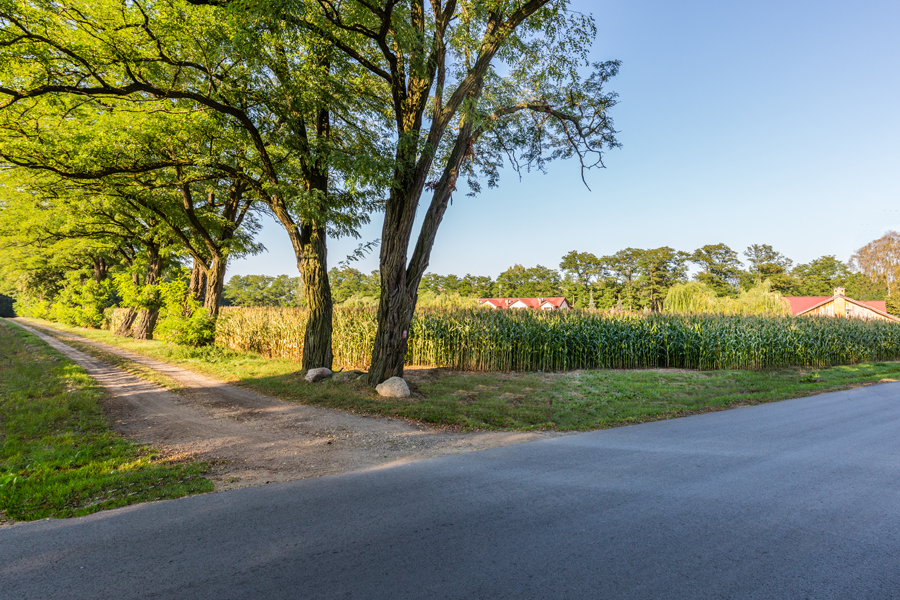 Outside Pazibroda